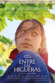 ENTRE AS FIGUEIRAS