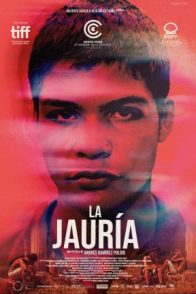 A XAURÍA