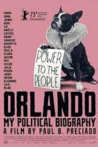 ORLANDO, A MIÑA BIOGRAFÍA POLÍTICA