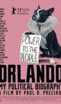 ORLANDO, A MIÑA BIOGRAFÍA POLÍTICA