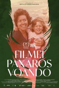 FILMEI PAXAROS VOANDO